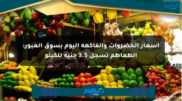 أسعار الخضروات والفاكهة اليوم بسوق العبور: الطماطم تسجل 3.5 جنيه للكيلو
